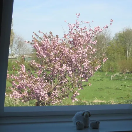 Haus Buttgereit
